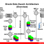 oracle-data-guard-11g-architecture11.png